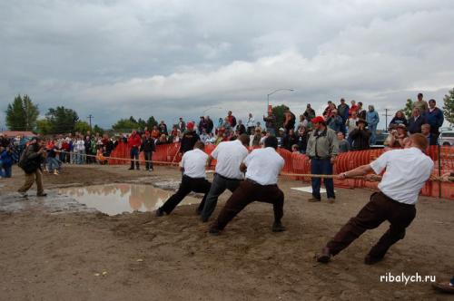 Спорт факты. Самые смешные и интересные факты в мире спорта 09