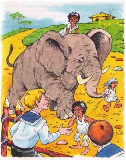 Интересные факты о слонах для детей. 10 интересных фактов о слонах. 20