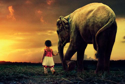 Вопрос про слона. Загадка про слона для детей: 28 лучших