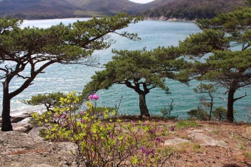 Как называется море во владивостоке. Море и острова Владивостока