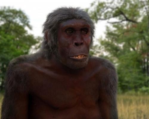 Какие были древние люди. Основные стадии эволюции человека 01