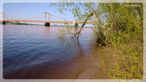 Интересные факты архангельская область. Интересные факты об Архангельске 08