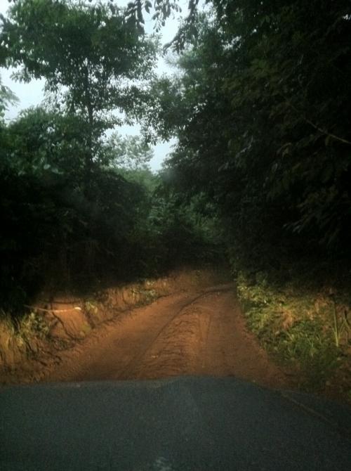 Конго уровень жизни. Зарисовка жизни в глубинке Африки (Конго Заир)