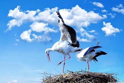 Молдавия интересные факты. Интересные факты о Молдавии. 09