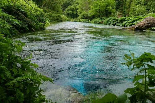 Чем славится албания. Бункеры, мерседесы и олбанский язык: 11 загадок Албании