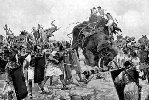 Спорт факты. Самые смешные и интересные факты в мире спорта 08