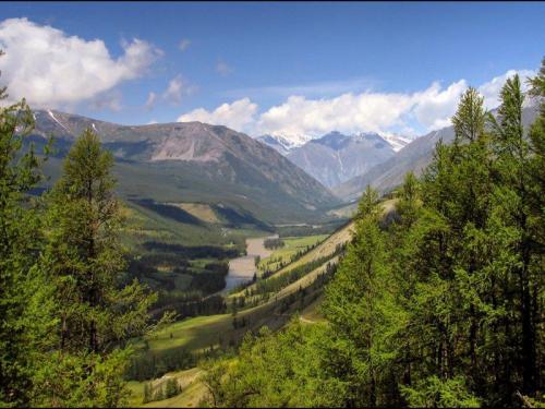 Интересные факты о народах Сибири. Несколько интересных фактов о Сибири