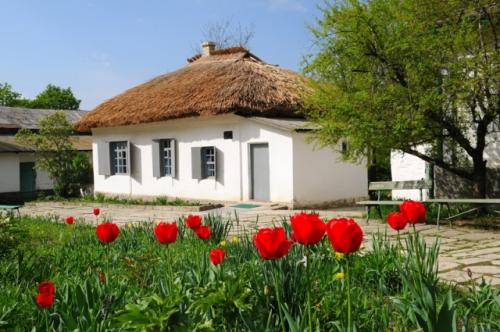 Исторические события ставропольского края. Особые приметы. Чем знаменит Ставропольский край