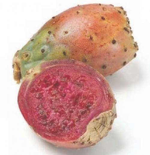 Чем интересен Тунис. Всё самое интересное про Тунис