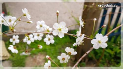 Интересные факты архангельская область. Интересные факты об Архангельске 07