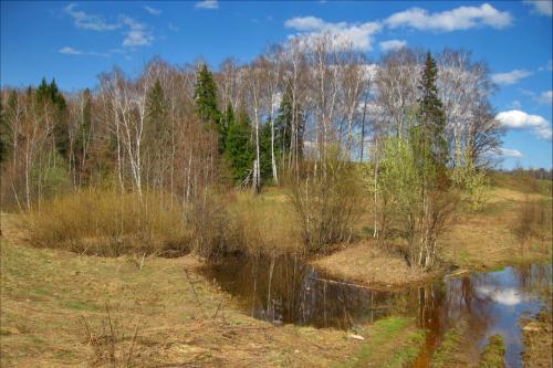 Когда прилетают соловьи. Соловей — птица перелётная
