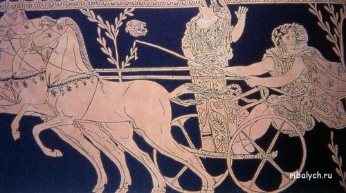 Спорт факты. Самые смешные и интересные факты в мире спорта 06