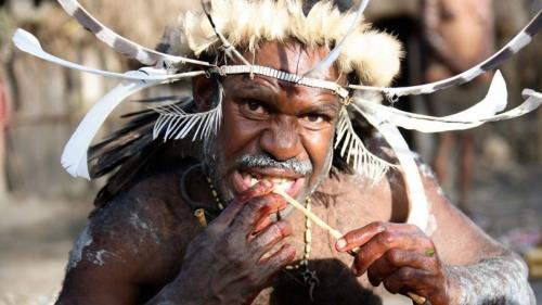 Интересные факты о достопримечательностях Сочи. 10 интересных фактов о Сочи