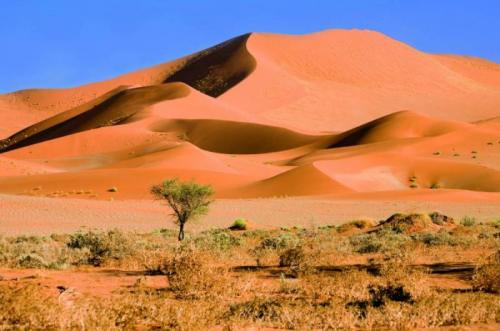 Пустыня намиб интересные факты. Намиб — самая древняя пустыня планеты