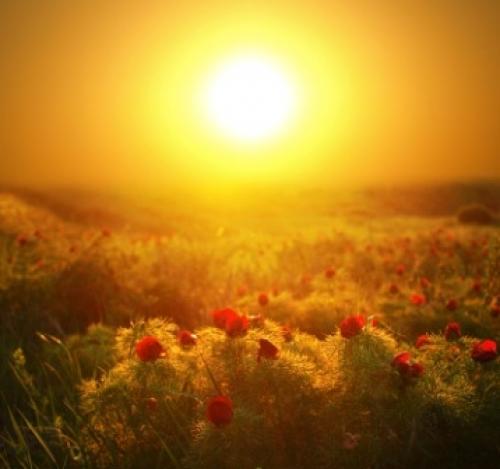 Солнце источник жизни на Земле кратко. Детям о космосе. Солнце — источник жизни на Земле