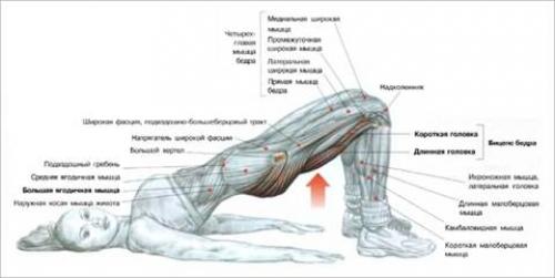 Как убрать живот и накачать пресс. Универсальные упражнения на верхний пресс
