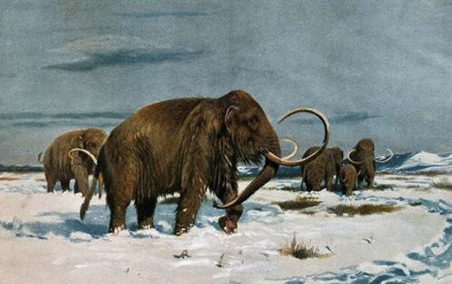 1000 интересных и занимательных фактов обо всем на свете. 35 интересных фактов обо всем на свете