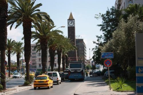 Тунис интересные факты о стране. Интересные факты о Тунисе: 11