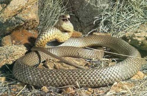 Факты о Малайзии. 10 уникальных фактов о Малайзии, которые вы, возможно, не знали 10