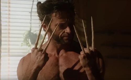 Факты о росомахе. Интересные факты о росомахе 06