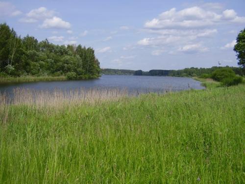 Интересные факты беларусь. Общие интересные факты о Беларуси 01