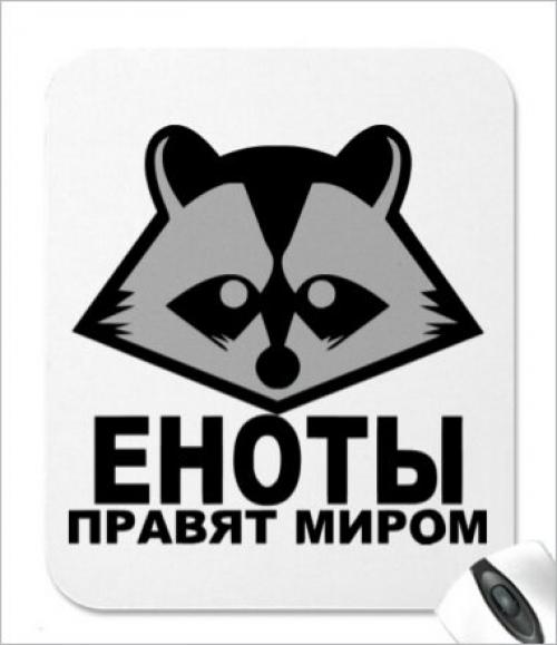 Интеллект енота. Насколько умны еноты?