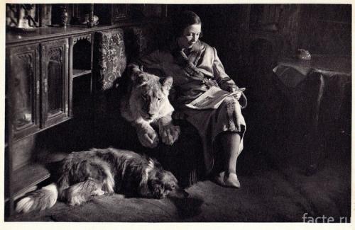 Интересные факты о московском зоопарке. 13 фактов о столичном зоопарке, которые не известны даже москвичам 09