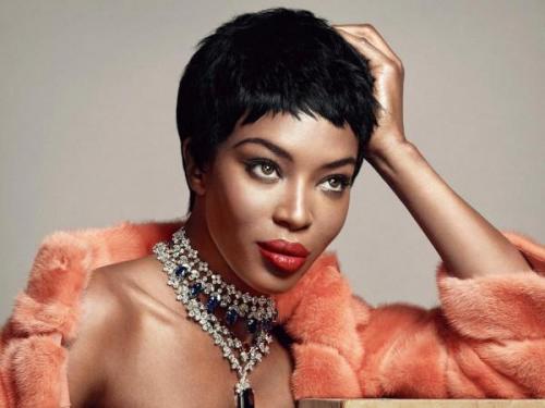 Лев интересные факты. Интересные факты о львах. Топ 18 фактов 13 Лев интересные факты. Интересные факты о львах. Топ 18 фактов 13