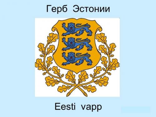 Факты об Эстонии. Интересные факты об Эстонии. 05