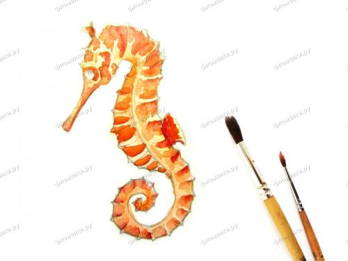 Как нарисовать морского конька