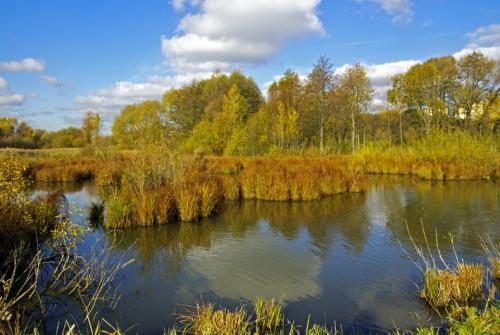 Интересные факты беларусь. Общие интересные факты о Беларуси 04
