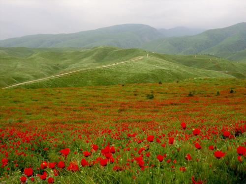 Интересные факты туркменистан. 50 интересных фактов о Туркменистане 08