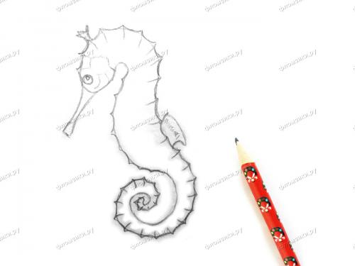 Как нарисовать морского конька