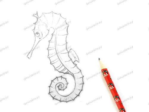 Как нарисовать морского конька