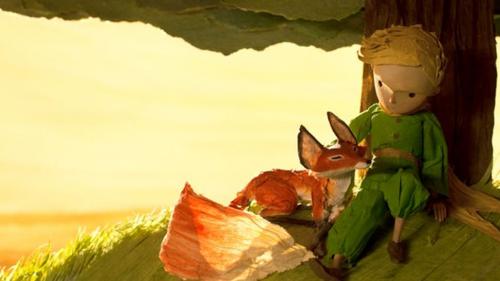 Факты о лисицах. 10 интересных фактов о лисах 07