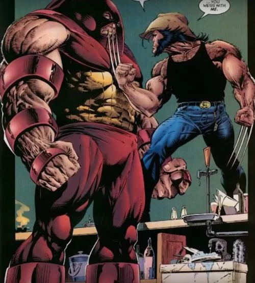 Факты о росомахе. Интересные факты о росомахе 09