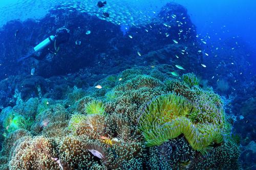 Где стоит побывать в тайланде на каких островах. Самые красивые острова Таиланда для отдыха — фото и описание