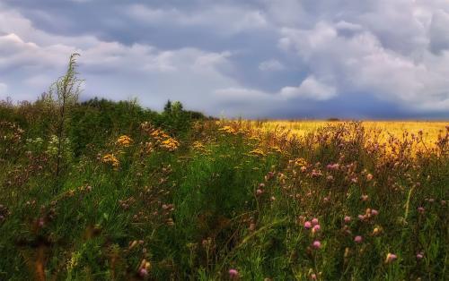 Интересные факты беларусь. Общие интересные факты о Беларуси 02