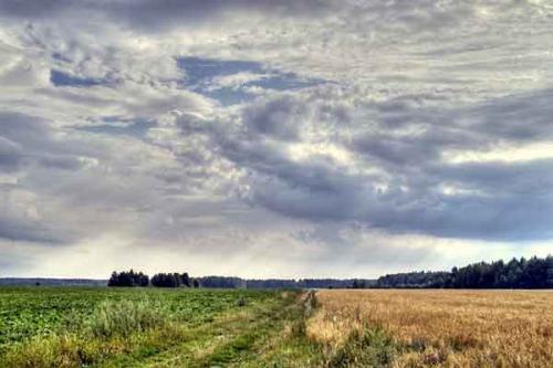 Интересные факты беларусь. Общие интересные факты о Беларуси 03