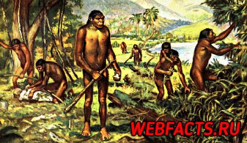 Интересные факты про древнейших людей. Интересные факты о первобытных людях