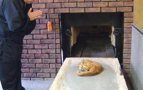 Невероятные истории с обычными вещами. 12 необычных историй происхождения привычных вещей