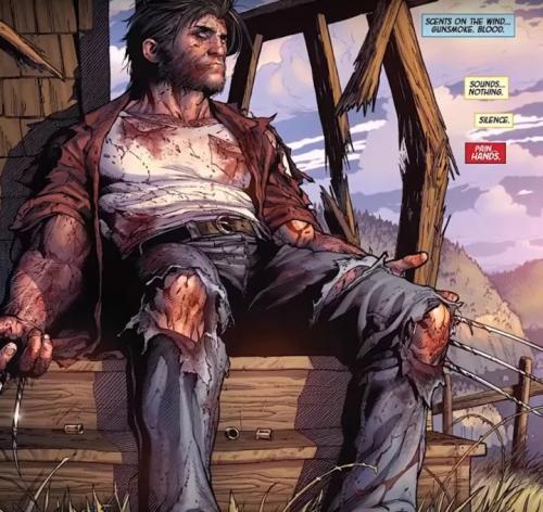 Факты о росомахе. Интересные факты о росомахе 02