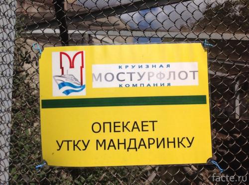 Интересные факты о московском зоопарке. 13 фактов о столичном зоопарке, которые не известны даже москвичам 13