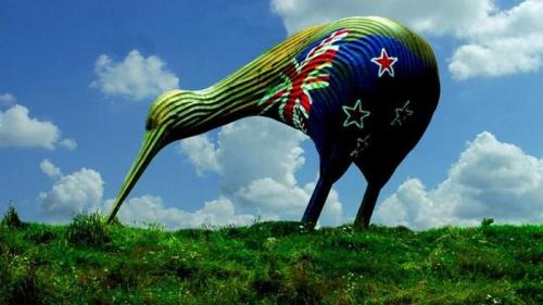 Птица киви интересные факты. Интересные факты о птице киви 18