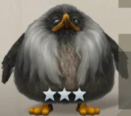 Красная птица из энгри бердс. Эрл (птица)