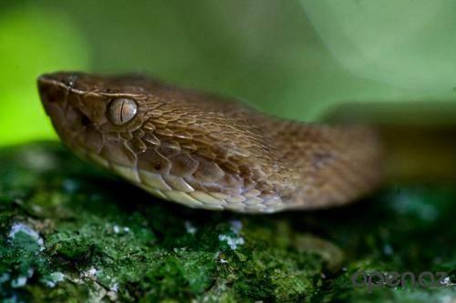 Познавательные факты по географии. Интересные факты географии