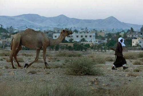 Познавательные факты по географии. Интересные факты географии