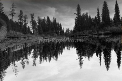 Интересные факты о стрекозах для детей. Интересные факты о стрекозах 22