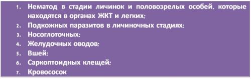 Ивермек дойным козам. Ивермек: инструкция по применению для разных видов животных и птиц