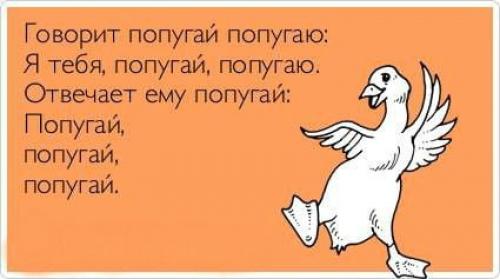 Почему русский язык сложный для иностранцев. Русский язык — взрыв мозга для иностранцев